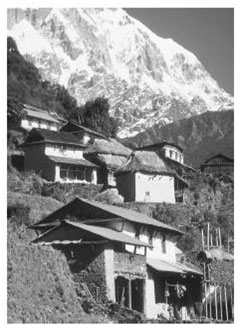 School Location