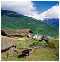 School Location